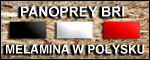 http://www.profil-habitat.pl/1,AKTUALNOSCI.html#panopreybri