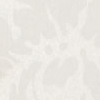 D-024-Damask-Porcelaine
