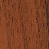 S-002-Sumac-de-Coromandel