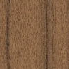 T-052-Tulipier-Tabac